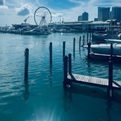 Photo submitted by Nicole