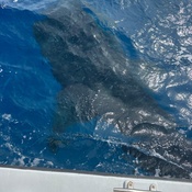 Photo submitted by Karen