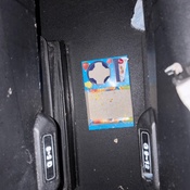 Photo submitted by Destiny