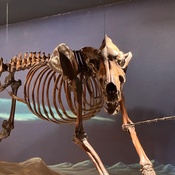 Photo submitted by Barb