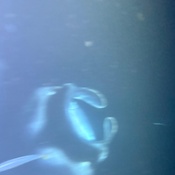 Photo submitted by Sharon