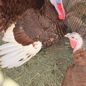 Photo submitted by Julisa