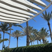 Photo submitted by Crisveth