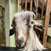 Photo submitted by Beth