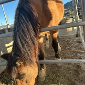 Photo submitted by ciera