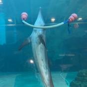 Photo submitted by Trina