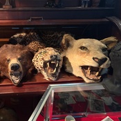 Photo submitted by Groupon