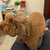 Photo submitted by Rob