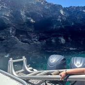 Photo submitted by Logan