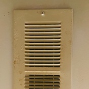 Photo submitted by Judith