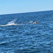 Photo submitted by Jennifer