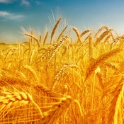 Photo submitted by Laura