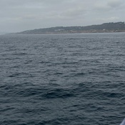 Photo submitted by Augustus