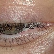 Photo submitted by Mallory