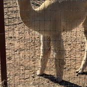 Photo submitted by Tracy