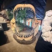 Photo submitted by amanda