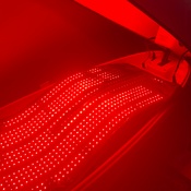 Photo submitted by Guest