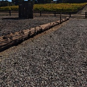 Photo submitted by Teresa