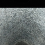 Photo submitted by Heidi