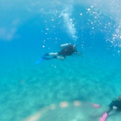 Photo submitted by Nadine