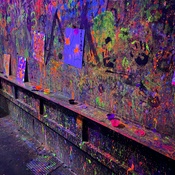 Photo submitted by Jessica