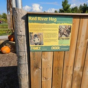 Photo submitted by A