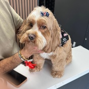 Photo submitted by Guest