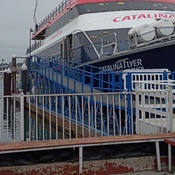 Photo submitted by Daphne