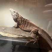 Photo submitted by Guest