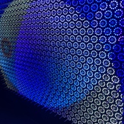 Photo submitted by Sierra