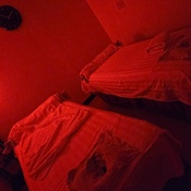 Photo submitted by Carmalita