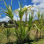 Photo submitted by Debbie