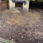 Photo submitted by Tonisha