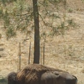 Photo submitted by lety