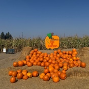 Photo submitted by Bonnie