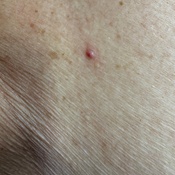 Photo submitted by Cintia