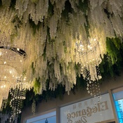 Photo submitted by Sabrina