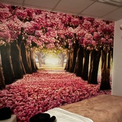 Photo submitted by Ana