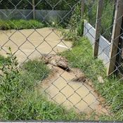 Photo submitted by Sharon