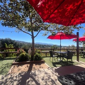 Photo submitted by Terri