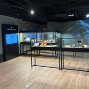 Photo submitted by Ava