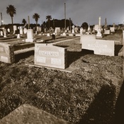 Photo submitted by Leather