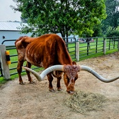 Photo submitted by Mindi