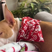 Photo submitted by Karen