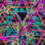 Photo submitted by Guest