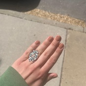 Photo submitted by Stephanie