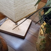 Photo submitted by Guest