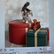 Photo submitted by Noor