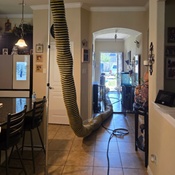 Photo submitted by toan