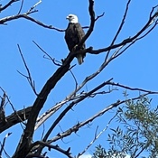 Photo submitted by Elaine